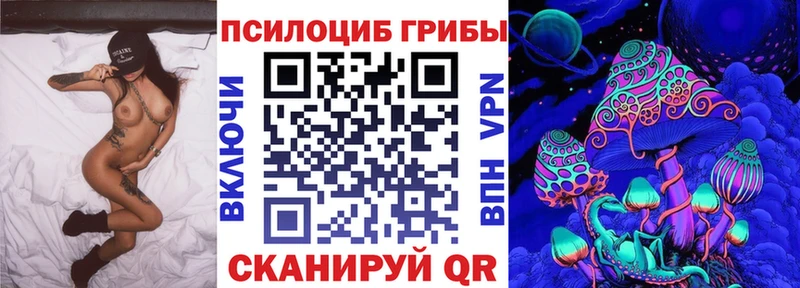 дарнет шоп Ейск блэк спрут ссылки Псилоцибиновые грибы Psilocybe