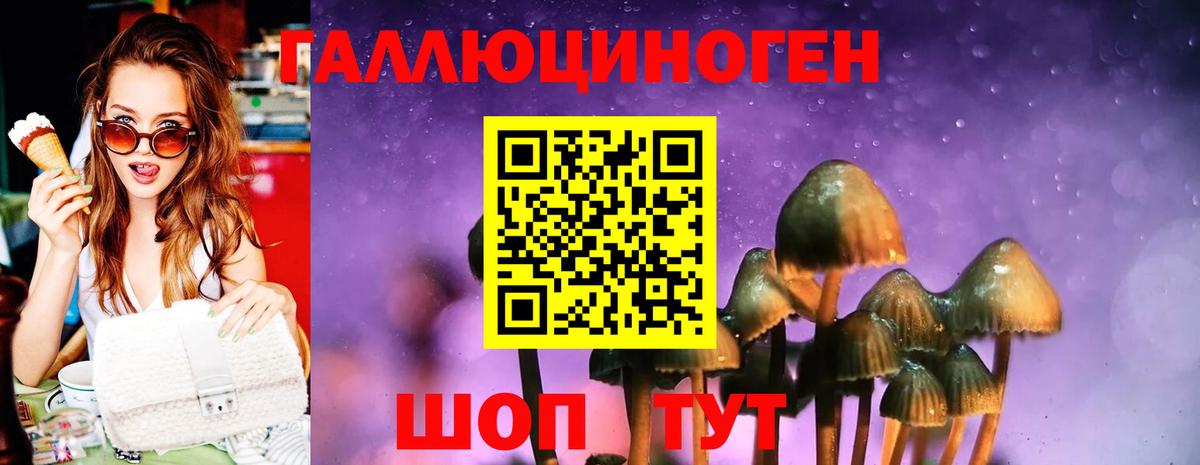 Псилоцибиновые грибы ЛСД  Галлюциногенные грибы ЛСД  Вход с VPN  Ейск 