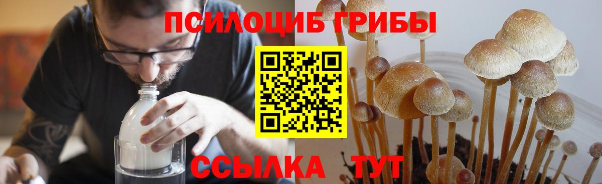 Галлюциногенные грибы Cubensis Ейск